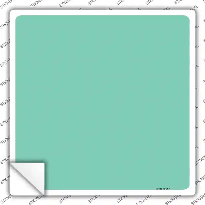 SQ-015s-L Mint Solid Novelty Square Sticker Decal, Large