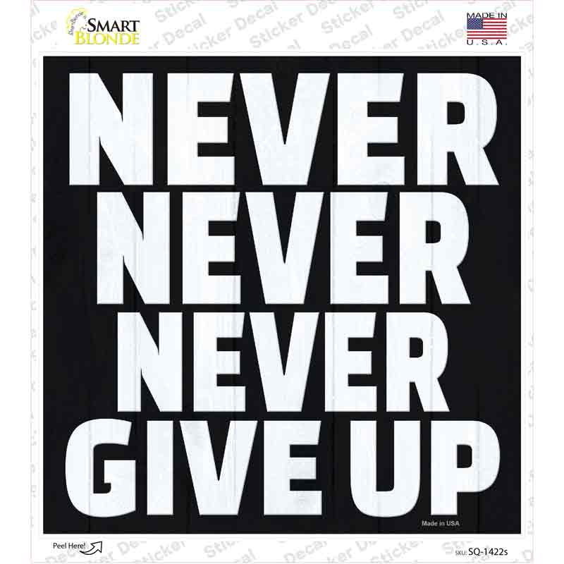 SQ-1422s-M Never Never Never Give Up Novelty Square Sticker Decal, Medium