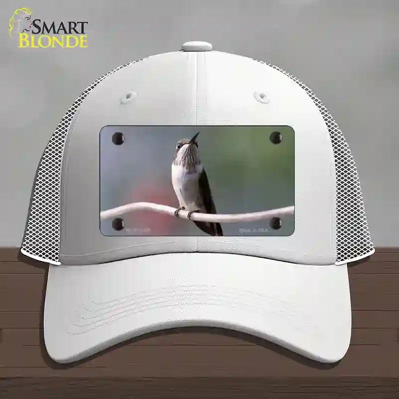 HAT19-MLP-11246 Hummingbird Perched on Branch Novelty License Plate Hat, Mesh - White