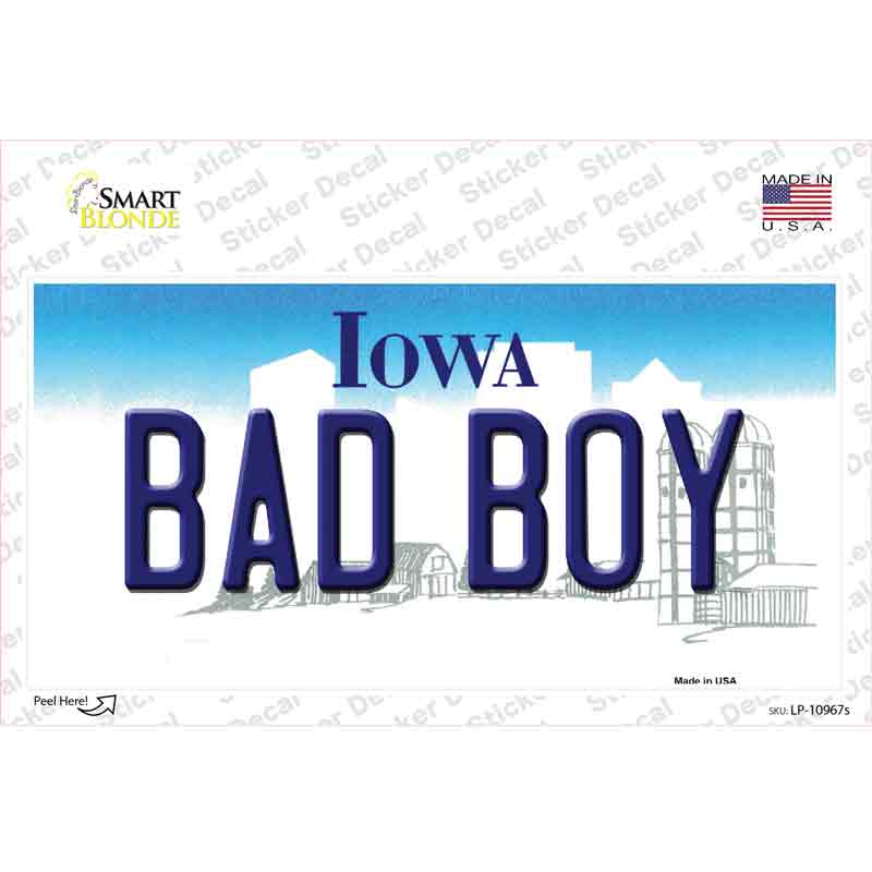LP-10967s-M Bad Boy Iowa Novelty Sticker Decal, Medium