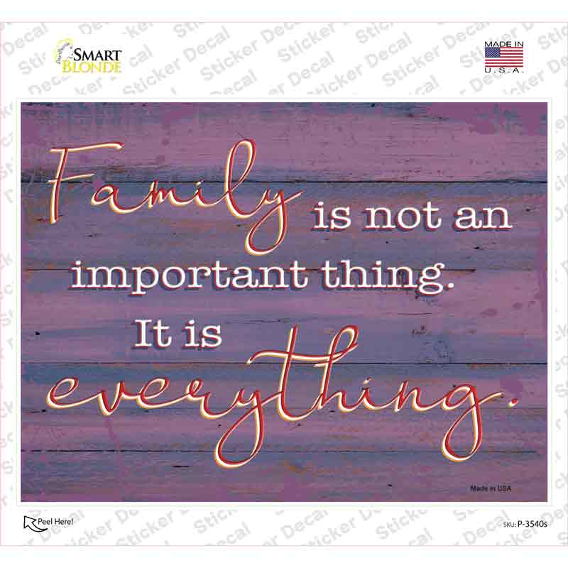 P-3540s-M Family is Everything Novelty Rectangular Sticker Decal, Medium