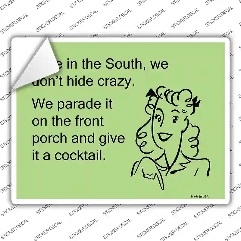 P-903s-L Here in the South, We Dont Hide Crazy Novelty Rectangle Sticker Decal - Large