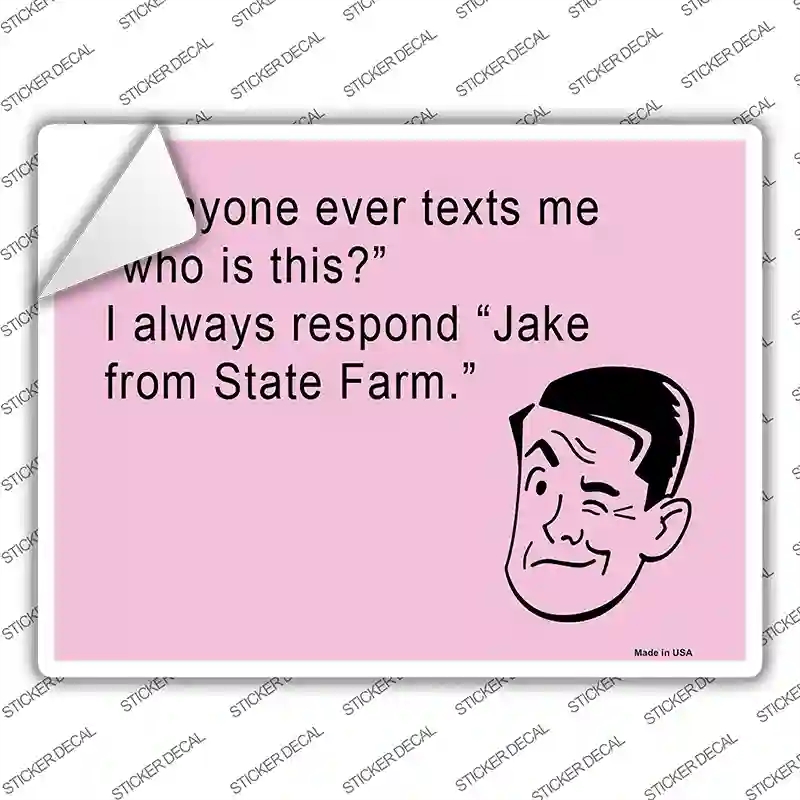 P-907s-S Jake From State Farm Novelty Rectangle Sticker Decal, Small