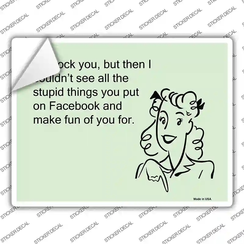 P-945s-L Stupid Things on Facebook Novelty Rectangle Sticker Decal, Large