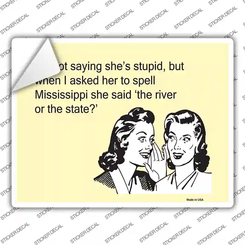 P-971s-L Im Not Saying She is Stupid Novelty Rectangle Sticker Decal, Large