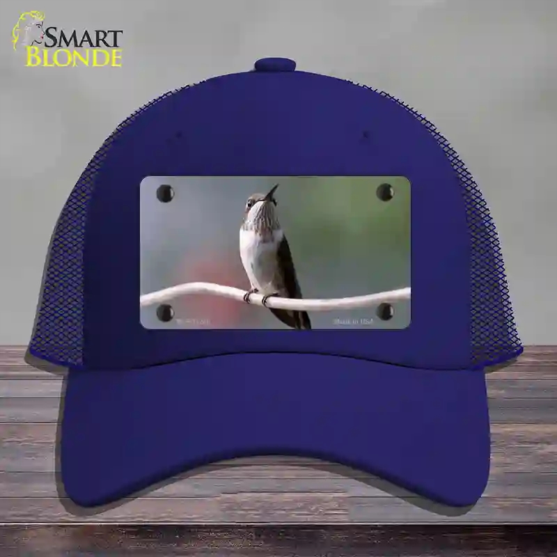HAT18-MLP-11246 Hummingbird Perched on Branch Novelty License Plate Hat, Mesh - Royal Blue