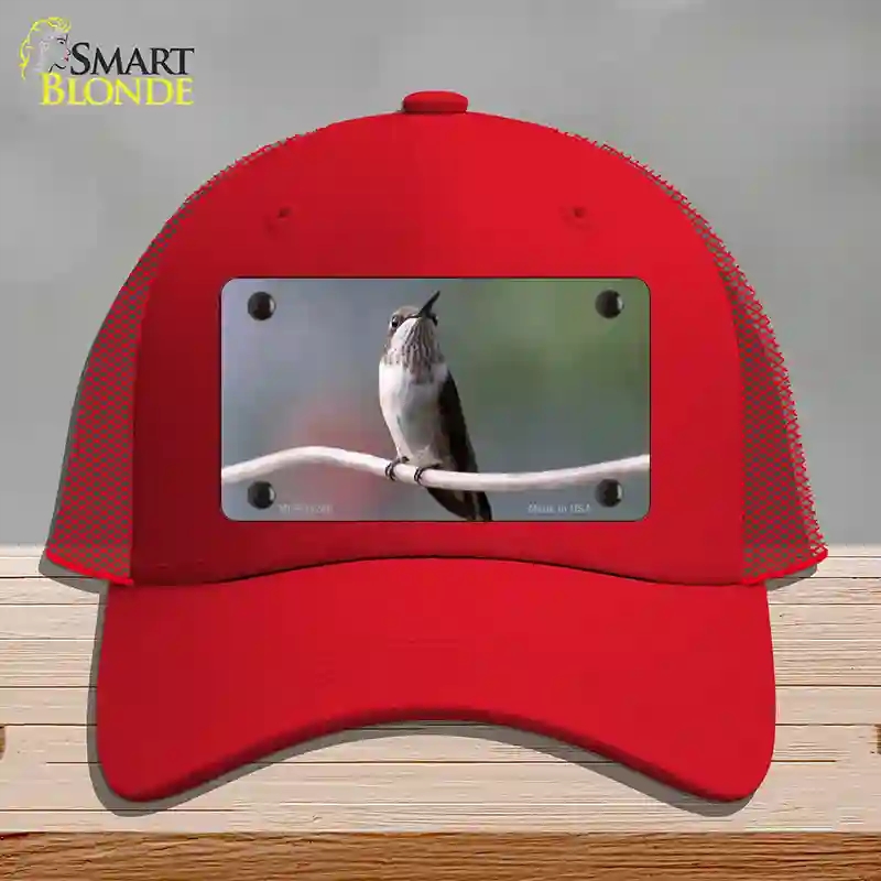 HAT17-MLP-11246 Hummingbird Perched on Branch Novelty License Plate Hat, Mesh - Red