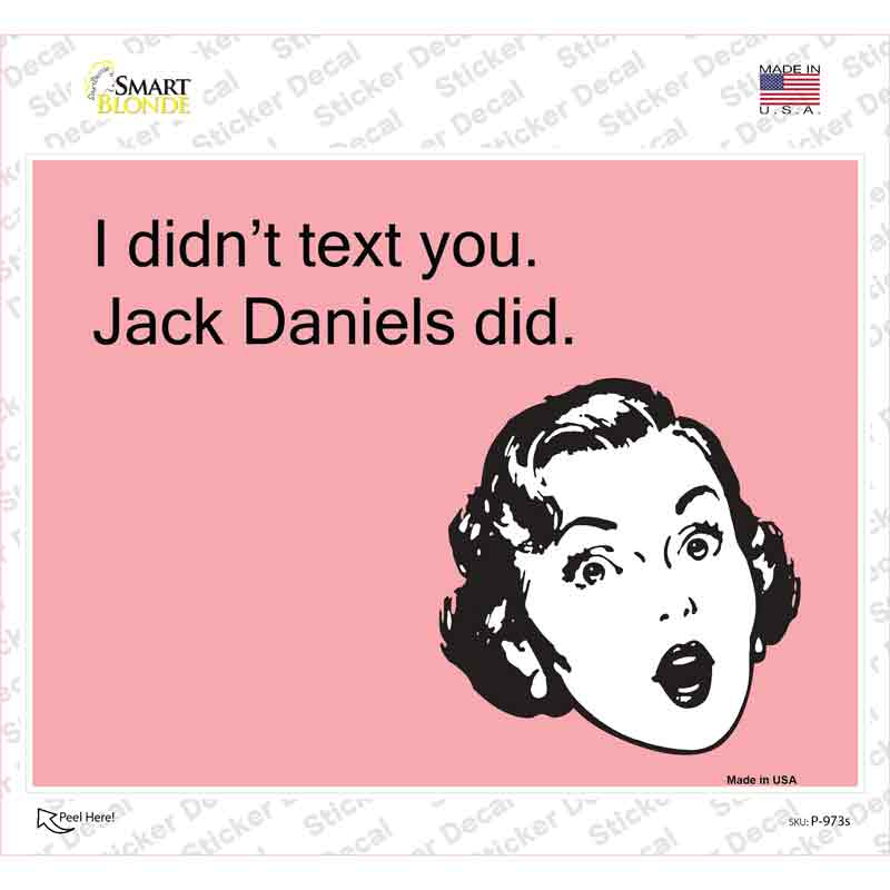 P-973s-M I Did Not Jack Daniels Did Novelty Rectangle Sticker Decal, Medium