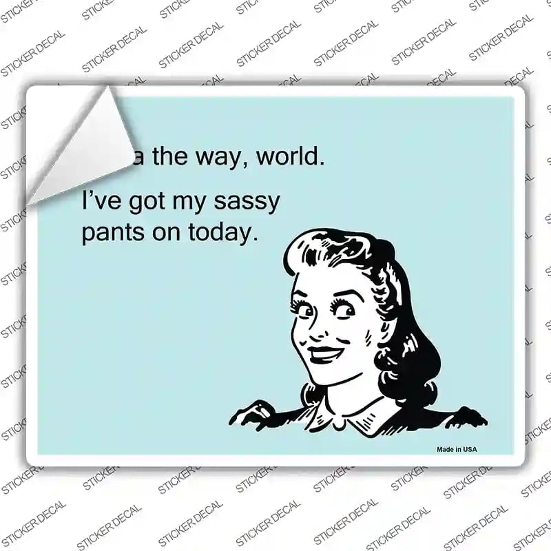 P-951s-S I Have Got My Sassy Pants Novelty Rectangle Sticker Decal, Small