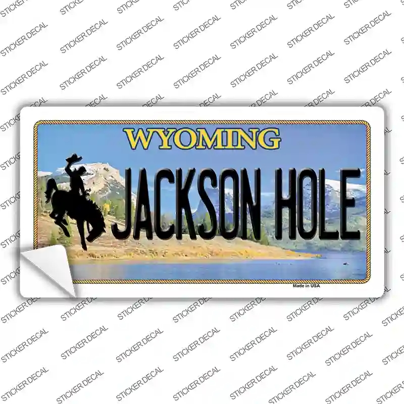 LP-10532s-S Jackson Hole Wyoming Novelty Sticker Decal, Small