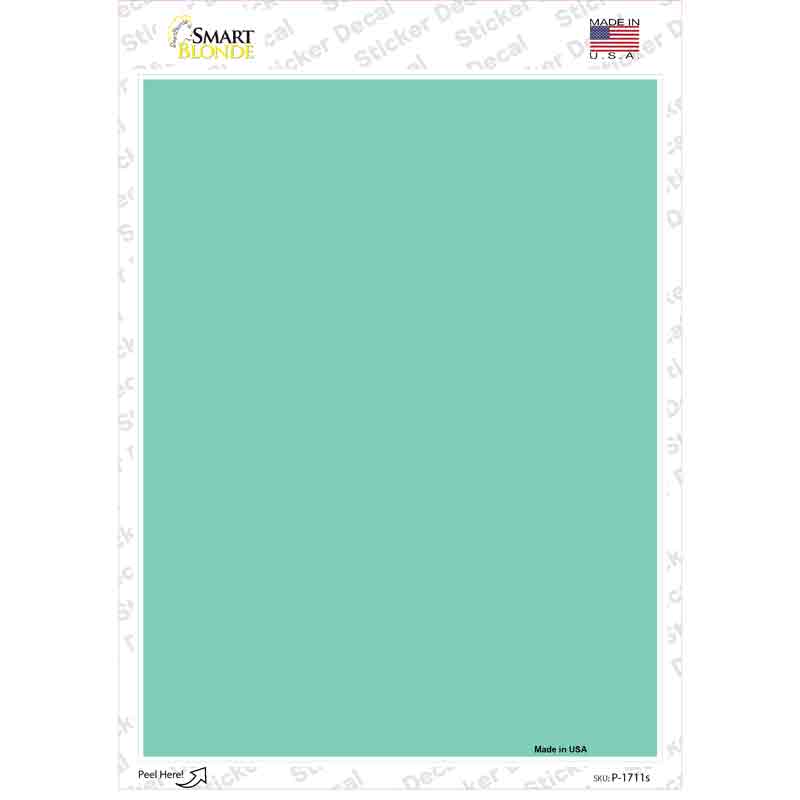 P-1711s-M Mint Blank Novelty Rectangle Sticker Decal, Medium