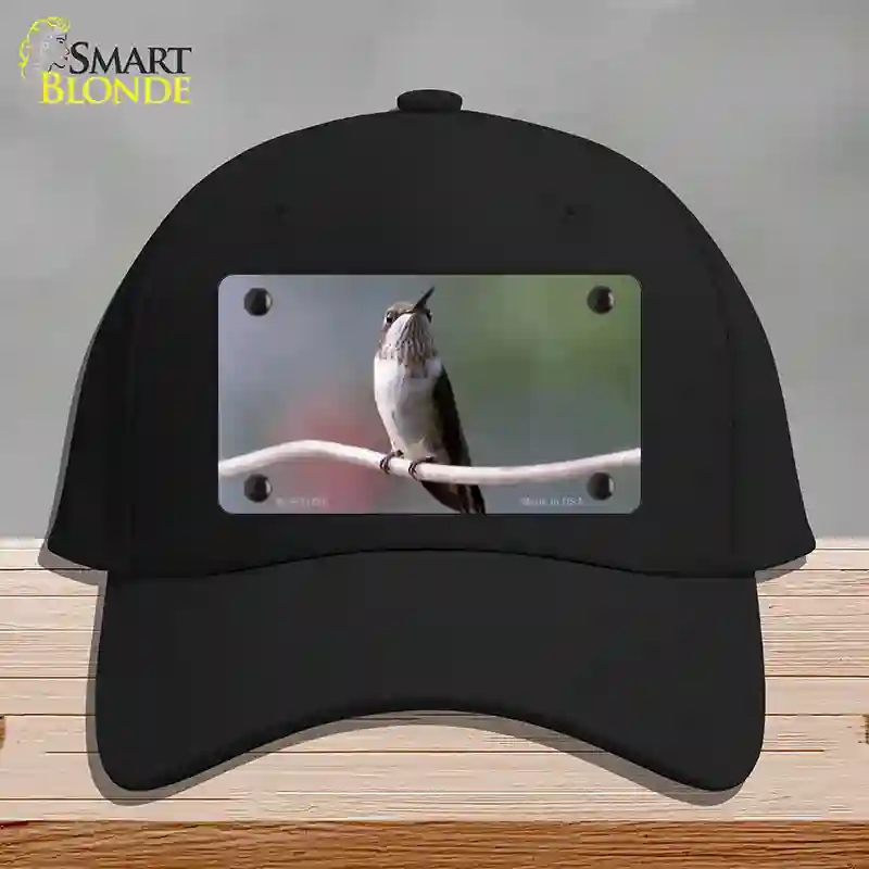 HAT03-MLP-11246 Hummingbird Perched on Branch Novelty License Plate Hat, Cotton - Black