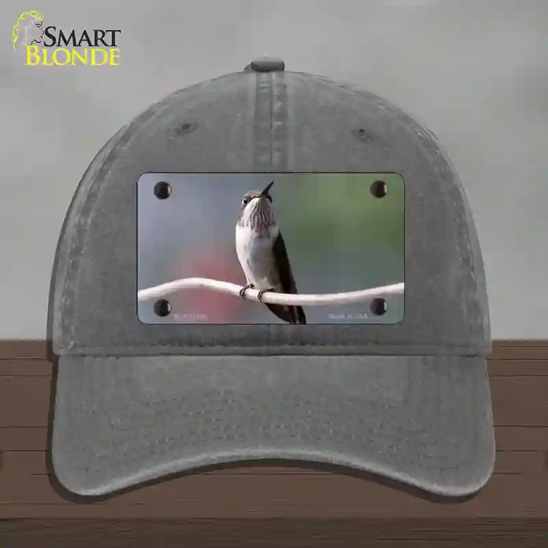 HAT08-MLP-11246 Hummingbird Perched on Branch Novelty License Plate Hat, Unconstructed Cotton - Charcoal