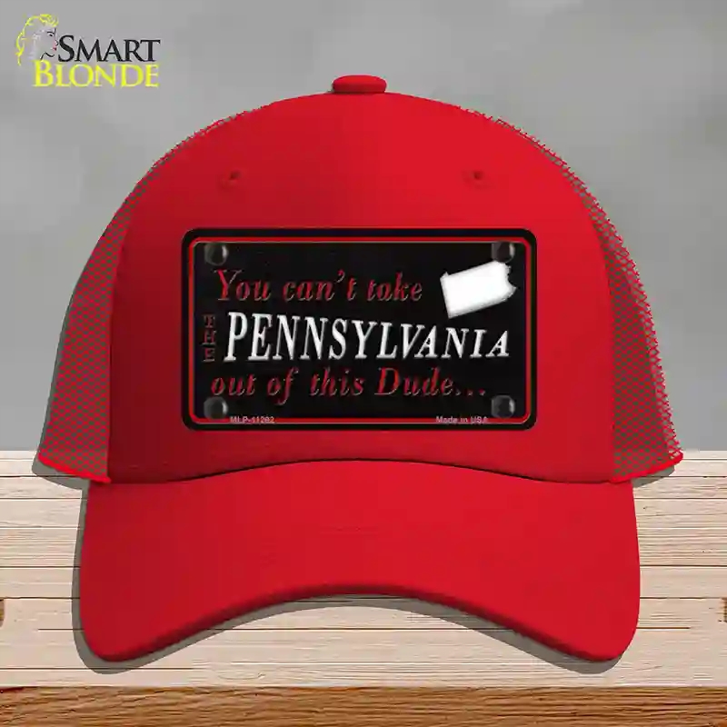 HAT17-MLP-11292 Pennsylvania Dude Novelty License Plate Hat, Mesh - Red