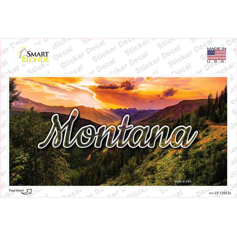 LP-11612s-M Montana Forest Sunset State Novelty Sticker Decal, Medium