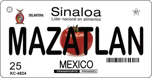 SMART BLONDE Mazatlan Mexico Novelty Metal Key Chain KC-4824