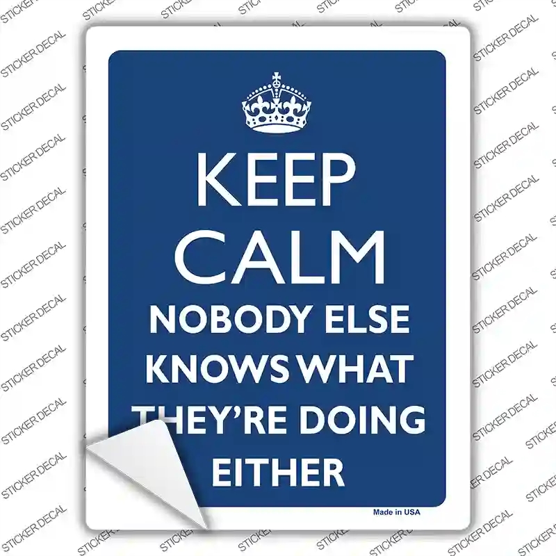 P-2218s-XL Keep Calm Nobody Else Knows Novelty Rectangle Sticker Decal, Extra Large