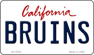 Bruins Novelty Metal Magnet M-12655