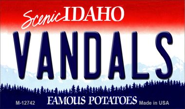 Vandals Novelty Metal Magnet M-12742