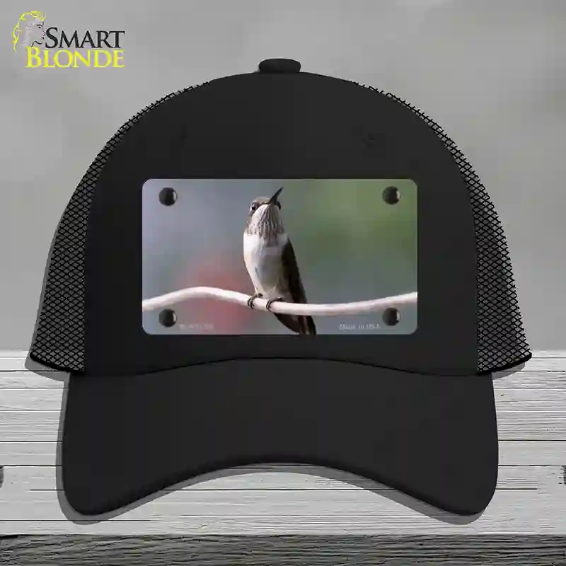 HAT01-MLP-11246 Hummingbird Perched on Branch Novelty License Plate Hat, Mesh - Black