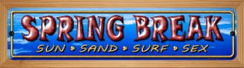 SMART BLONDE Spring Break Novelty Wood Mounted Metal Small Street Sign WB-K-405