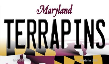 Terrapins Novelty Metal Magnet M-12805