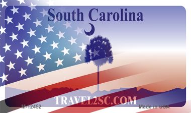 South Carolina with American Flag Novelty Metal Magnet M-12452