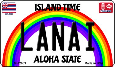 M-12609 3.5 x 2 in. Lanai Novelty Metal Magnet