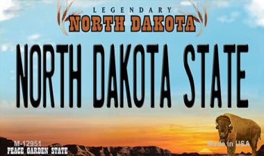 M-12951 3.5 x 2 in. North Dakota State Novelty Metal Magnet -  Smart Blonde