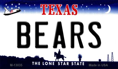 M-13035 3.5 x 2 in. Bears Novelty Metal Magnet
