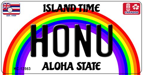 KC-12563 1.5 x 3 in. Honu Novelty Metal Key Chain