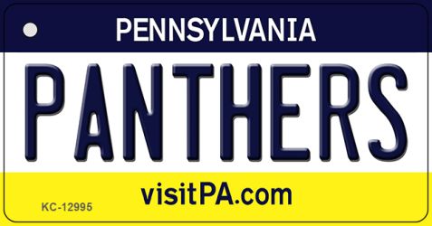 KC-12995 1.5 x 3 in. Panthers Novelty Metal Key Chain