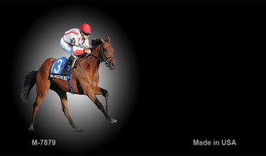 Horse Racing Offset Novelty Metal Magnet M-7879