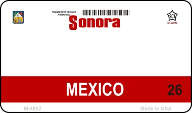 Sonora Mexico Blank Novelty Metal Magnet M-4802