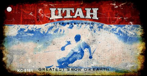 SMART BLONDE Utah Rusty Blank Key Chain KC-8161