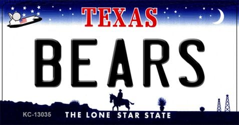 KC-13035 1.5 x 3 in. Bears Novelty Metal Key Chain