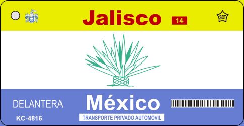 SMART BLONDE Jalisco Mexico Blank Novelty Metal Key Chain KC-4816