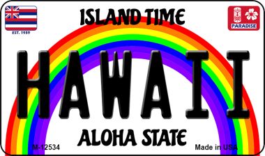 M-12534 3.5 x 2 in. Hawaii Novelty Metal Magnet