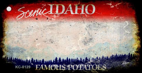 SMART BLONDE Idaho Rusty Blank Key Chain KC-8129