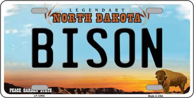 LP-12954 6 x 12 in. Bison Novelty Metal License Plate
