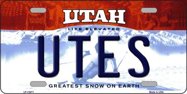 LP-13071 6 x 12 in. Utes Novelty Metal License Plate