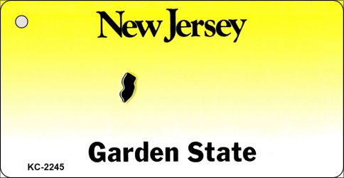 SMART BLONDE New Jersey State Blank Novelty Metal Key Chain KC-2245