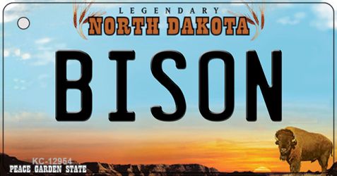 KC-12954 1.5 x 3 in. Bison Novelty Metal Key Chain