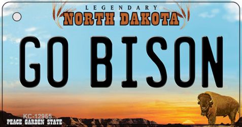 KC-12955 1.5 x 3 in. Go Bison Novelty Metal Key Chain