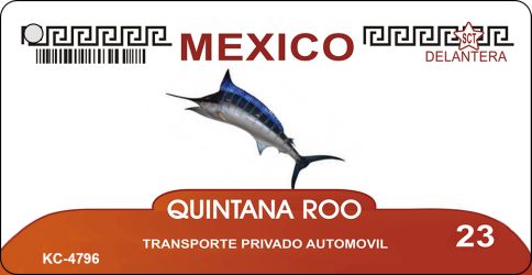 SMART BLONDE Quintana Roo Mexico Blank Novelty Metal Key Chain KC-4796