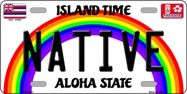 LP-12561 6 x 12 in. Native Novelty Metal License Plate