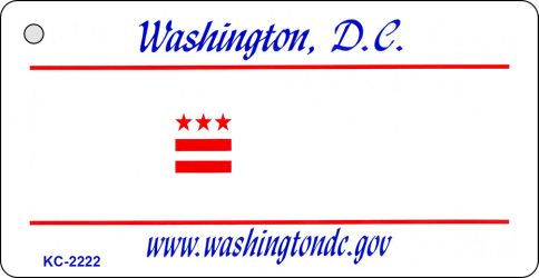 SMART BLONDE Washington DC State Blank Novelty Metal Key Chain KC-2222
