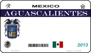 M-4811 3.5 x 2 in. Aguascalientes Mexico Blank Background Novelty Metal Magnet