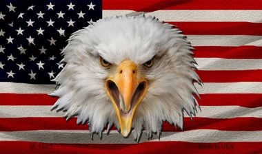M-1903 3.5 x 2 in. USA & Eagle Novelty Metal Magnet