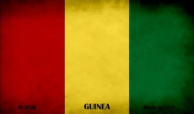 M-4026 3.5 x 2 in. Guinea Flag Novelty Metal Magnet